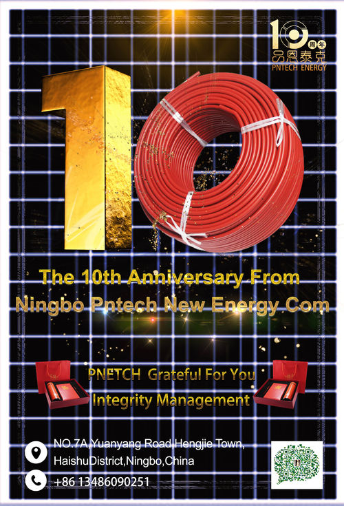 Latest company news about The 10th anniversary of NIingbo PNtech