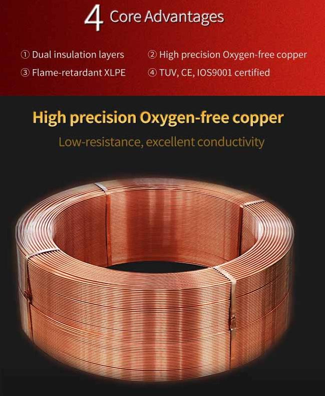 Black 2 Core DC Cable Low Toxicity High Voltage And Current Carrying Capacity